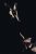 hanging_on_reduced